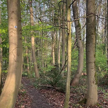Auf Ruegen - Stellplatz Fuer Wohnmobile , Wohnwagen , Auch Zum Zelten - In Direkter Naehe Zum Naturstrand -natur Pur - Schwalbennest