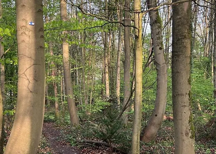 Auf Ruegen - Stellplatz Fuer Wohnmobile , Wohnwagen , Auch Zum Zelten - In Direkter Naehe Zum Naturstrand -natur Pur - Schwalbennest
