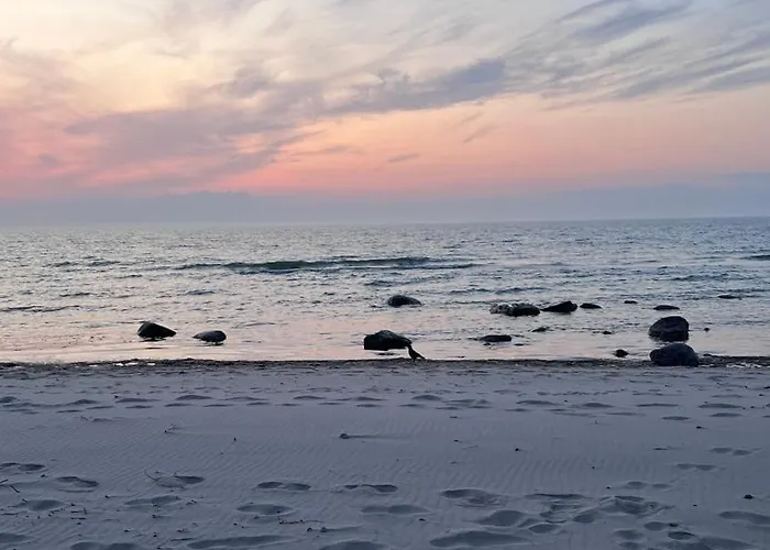Auf Ruegen - Stellplatz Fuer Wohnmobile , Wohnwagen , Auch Zum Zelten - In Direkter Naehe Zum Naturstrand -natur Pur - Schwalbennest مكان تخييم درانسكي